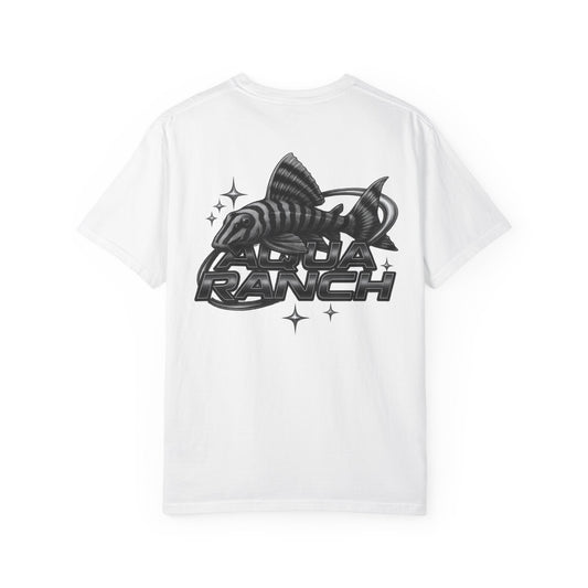Pleco y2k